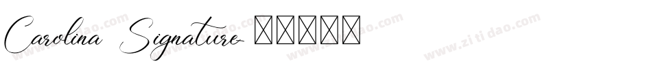 Carolina Signature字体转换